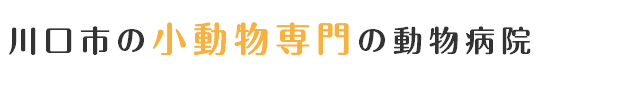 川口市の小動物専門の動物病院