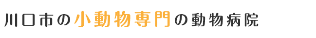 川口市の小動物専門の動物病院