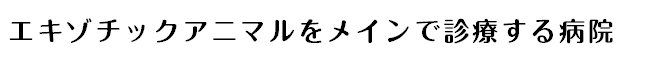 エキゾチックアニマルをメインで診療する病院
