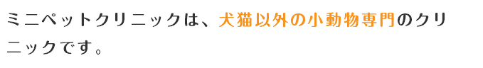 ミニペットクリニックは、犬猫以外の小動物専門のクリニックです。